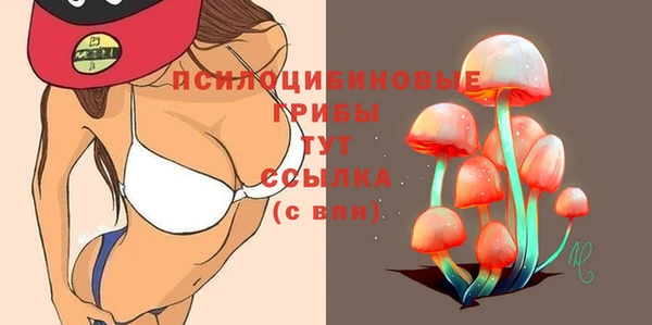 круглые Алексин