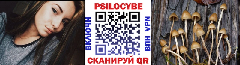 где можно купить наркотик  Арзамас  МЕГА рабочий сайт  Псилоцибиновые грибы Cubensis 