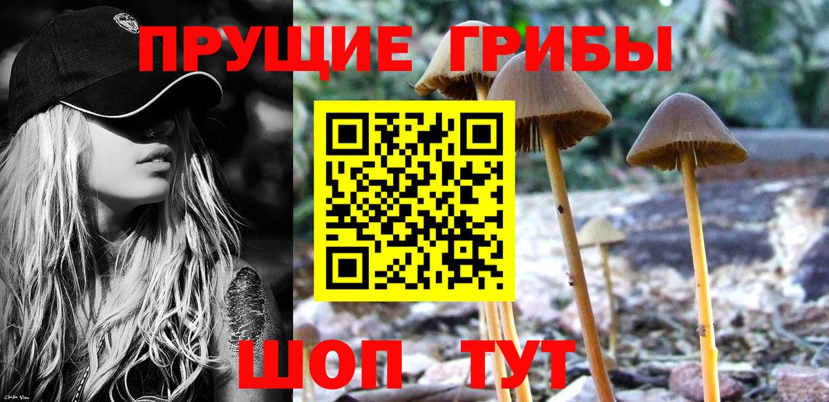 Галлюциногенные грибы MAGIC MUSHROOMS  Вход с VPN  Арзамас 